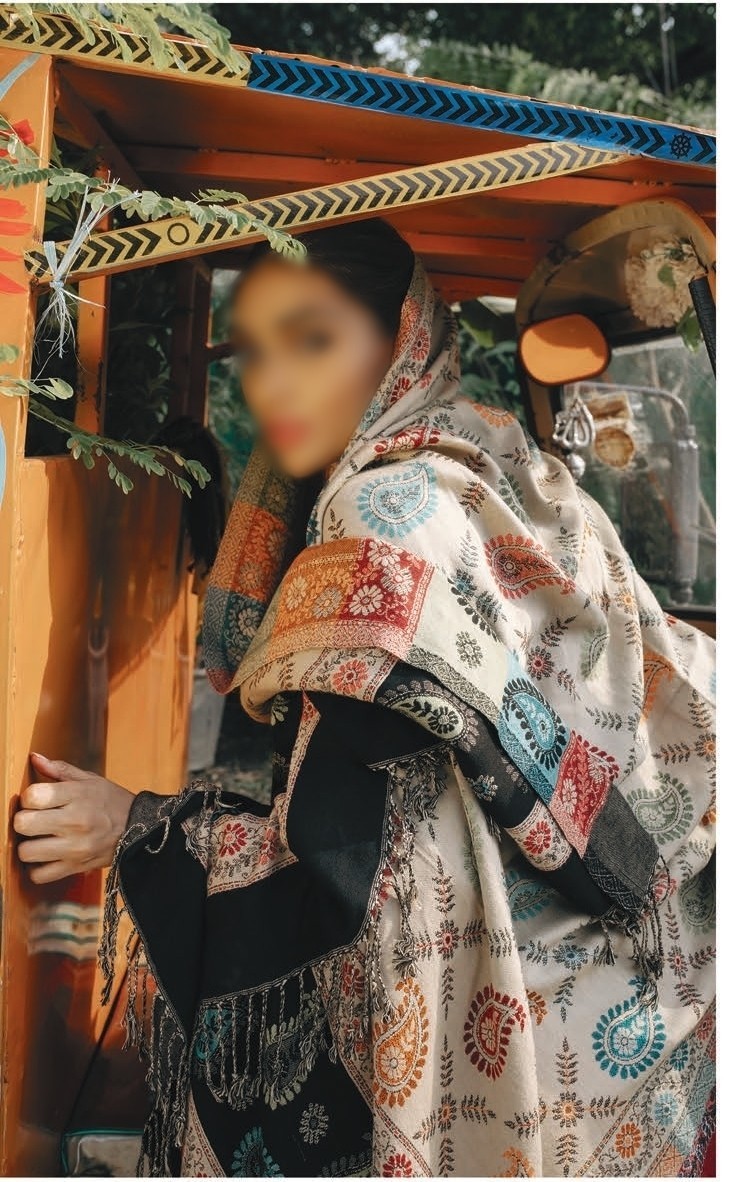 /2019/11/qalamkar-rehab-shawl-collection-ak-rlsc-d-qwk-10-double-sided-shawl-image1.jpeg
