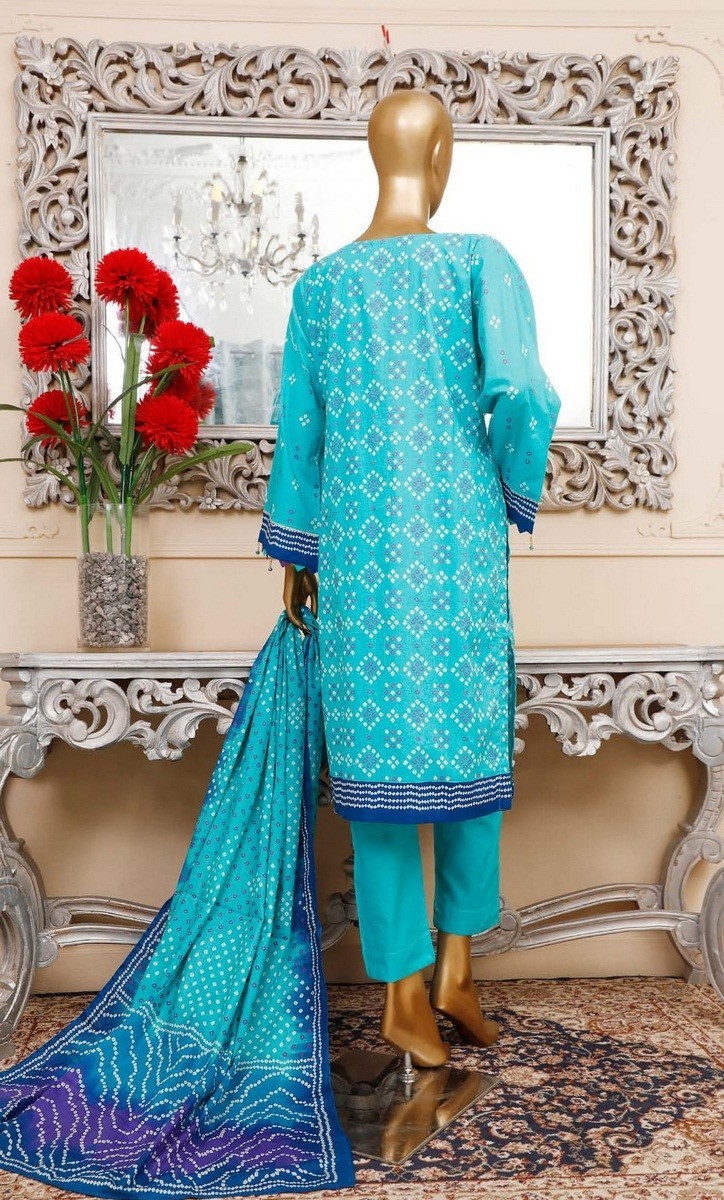 /2020/10/bin-saeed-unstitched-cambric-embroidered-collection-vol-02-d-14-image3.jpeg