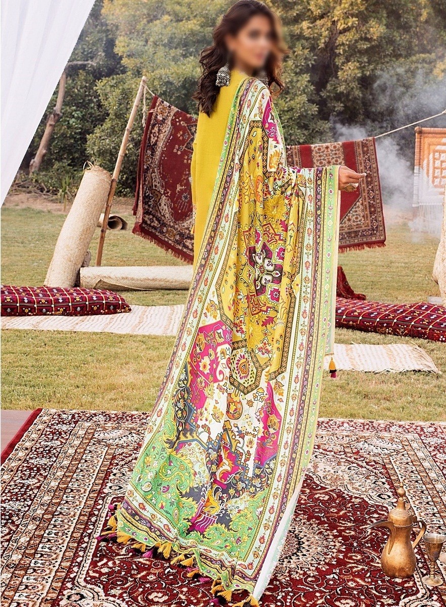 /2020/10/riaz-arts-nureh-embroidered-khaddar-unstitched-collection-d-nw-06-image3.jpeg
