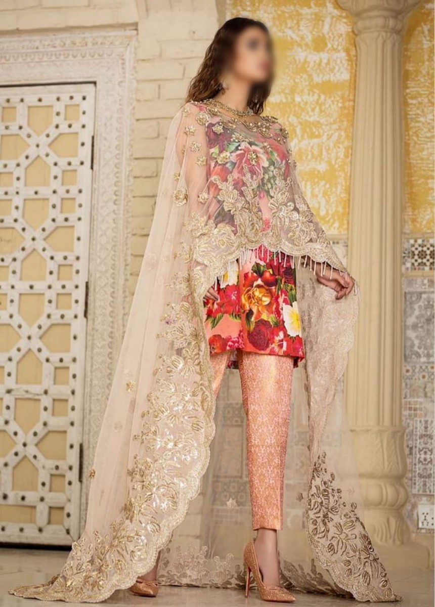 /2020/11/asifa-nabeel-unnstitched-festive-collection20-d-zn-04-image1.jpeg