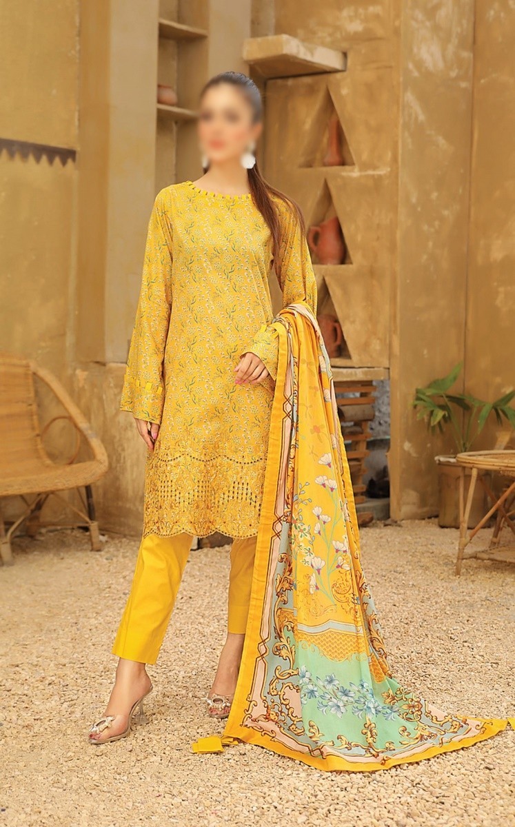 /2021/06/riaz-arts-guzel-embroidered-chikankari-mother-collection-d08-image1.jpeg