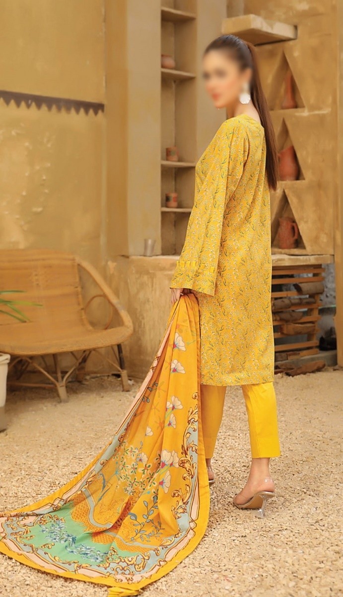 /2021/06/riaz-arts-guzel-embroidered-chikankari-mother-collection-d08-image2.jpeg