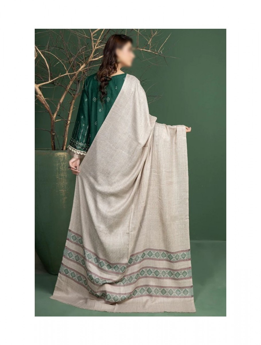 /2022/11/marjjan-dyed-self-wool-collection-with-self-weaved-wool-shawl-mds-52-green-image2.jpeg