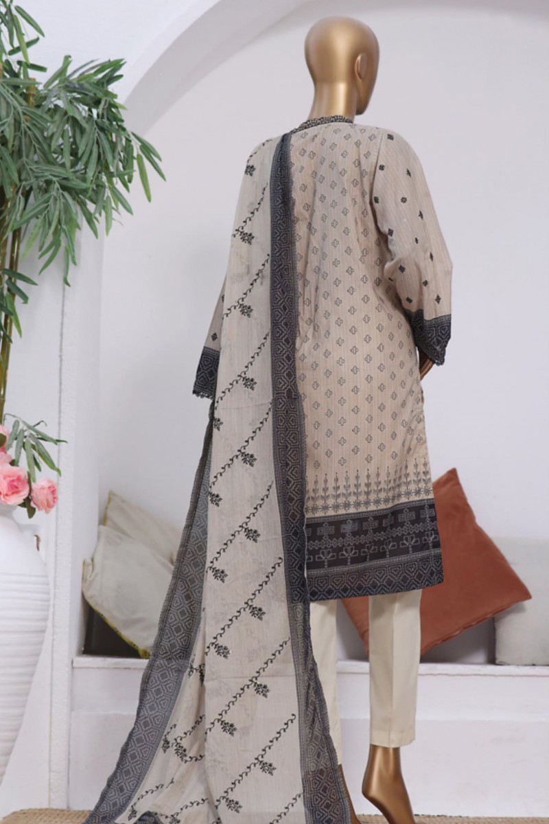 /2023/05/bin-saeed-stitched-3-piece-embroidered-lawn-collection'2023-smlf-070-skin-image2.jpeg