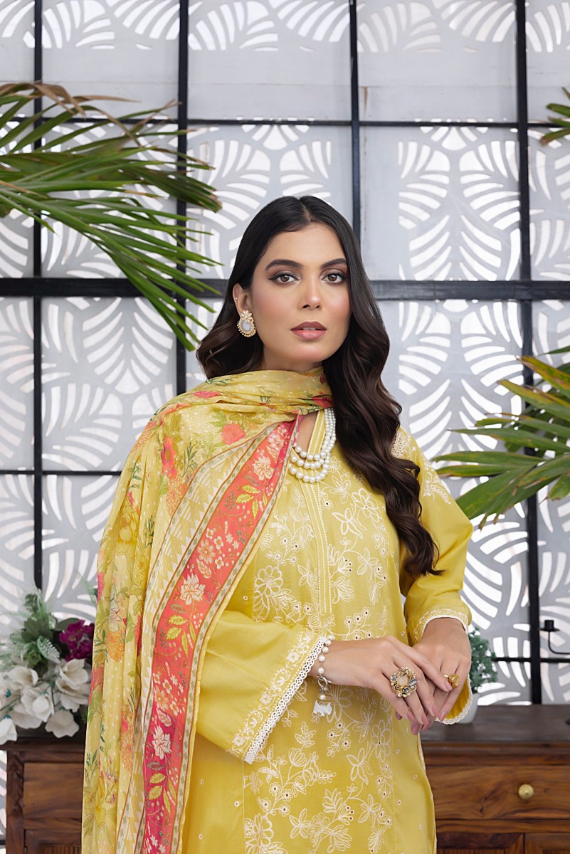 /2024/06/lakhany-by-lsm-festive-03-piece-unstitched-embroidered-lawn-with-printed-chiffon-dupatta-lg-rl-0025-image2.jpeg