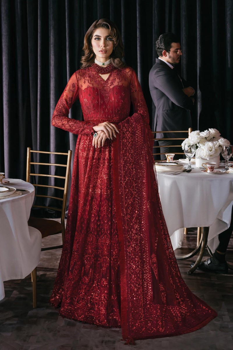 Greyish Silver Suit - Afrozeh Luxury Starlet Collection '23 - Chantilly